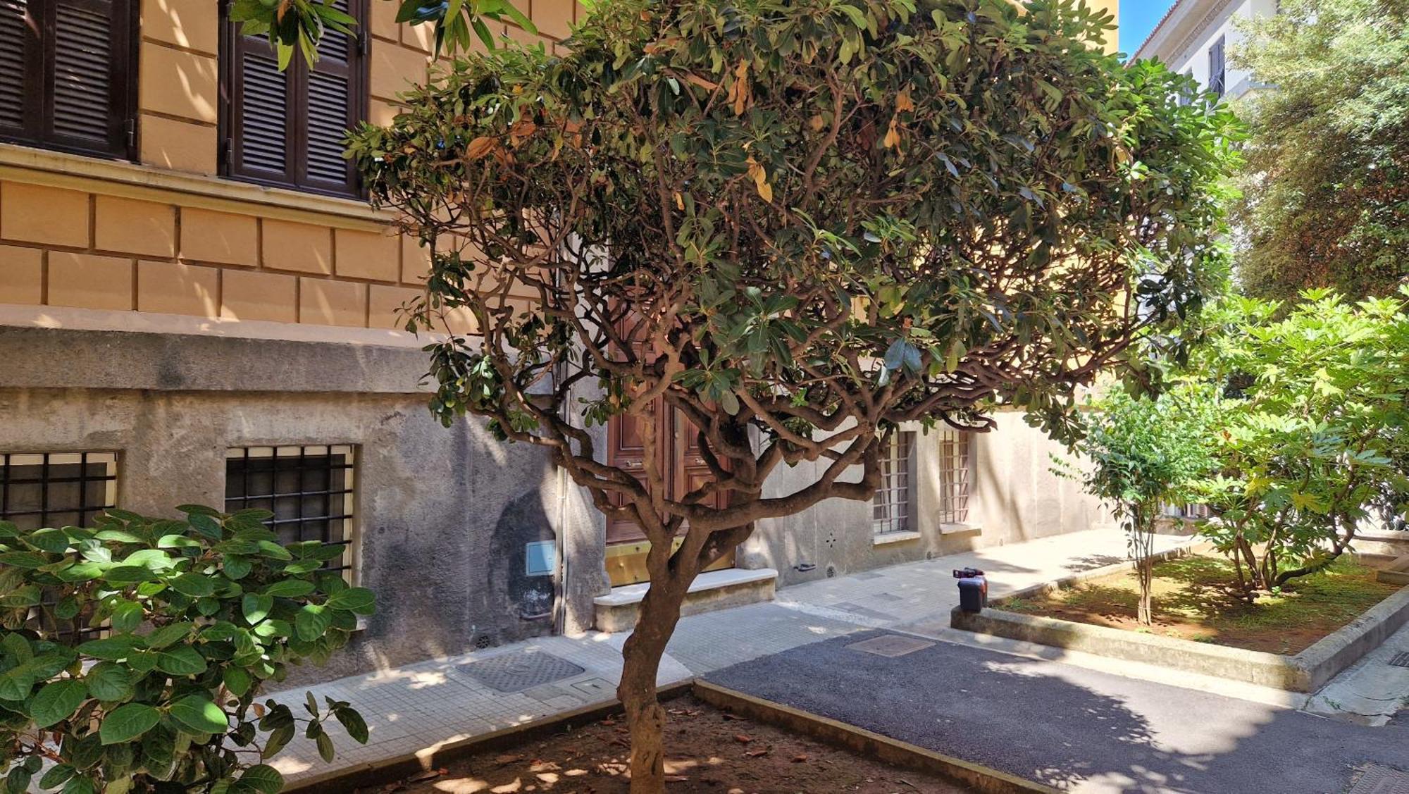 Borghese Magnolia Apartamento *