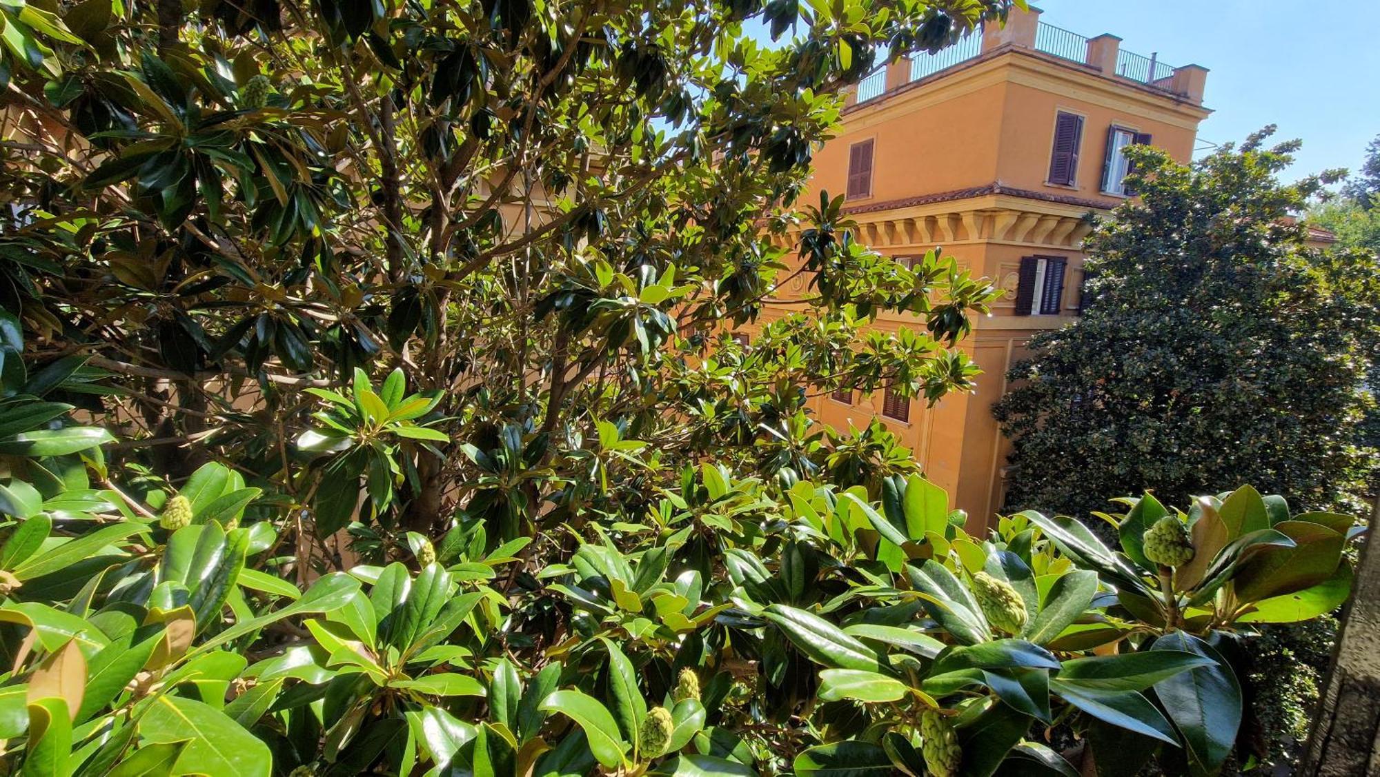 Borghese Magnolia Apartamento *