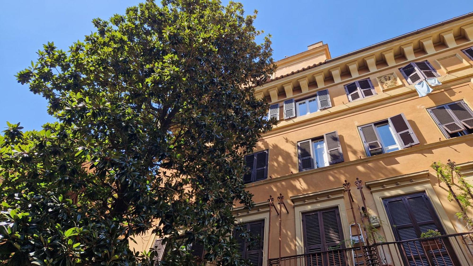 Borghese Magnolia Apartamento *